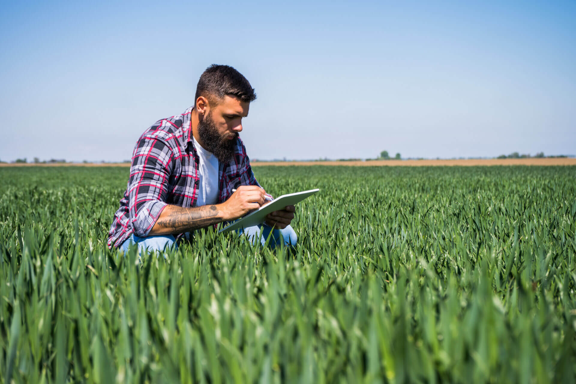 Trabajador inmigrante en el campo empleado en Estados Unidos gracias a la visa h2a